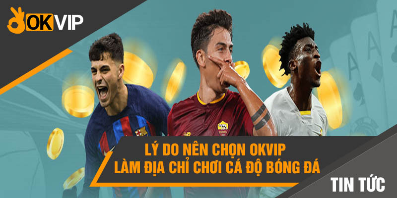 Cá cược bóng đá online: Có nên chơi trên OKVIP? - Mọi điều cần biết 4 Lý do nên chọn OKvip làm địa chỉ chơi cá độ bóng đá