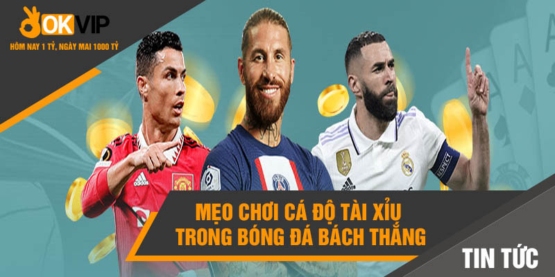 Kèo Tài Xỉu Là Gì? Mẹo Cá Cược Tài Xỉu Bạn Nên Biết 6 Mẹo chơi cá độ tài xỉu trong bóng đá bách thắng