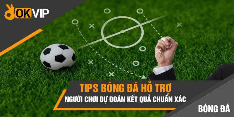 Top 6 Website Bán Tips Bóng Đá Chuẩn Giúp Bạn Thu Tiền 1 Tips bóng đá hỗ trợ người chơi dự đoán kết quả chuẩn xác