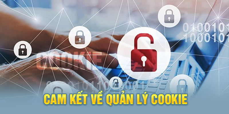 Những Cam Kết Của Okvip Đối Với Quyền Lợi Của Khách Hàng 3 Quản lý cookie người chơi nghiêm ngặt