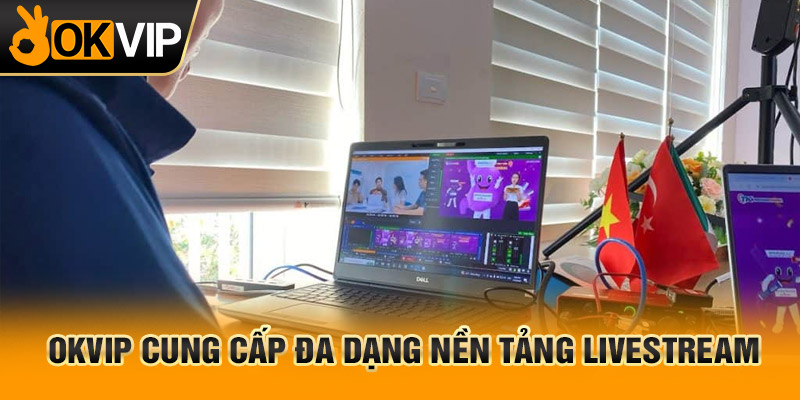 trang chủ OKVIP - 28/3 10 Nền tảng live bóng đá trực tiếp